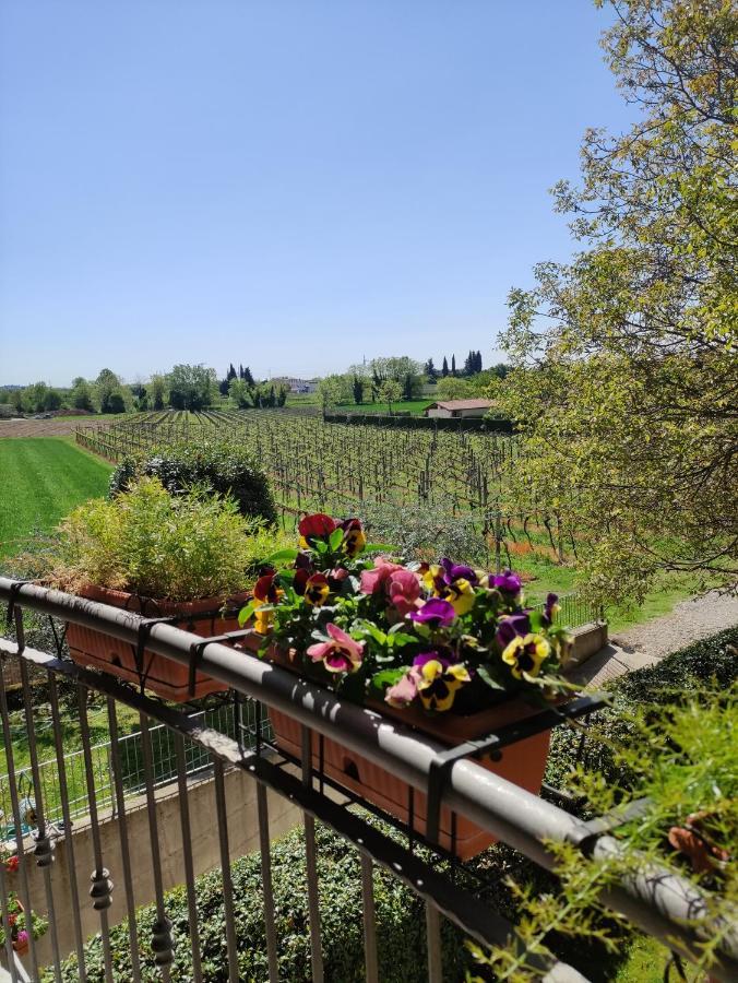 Bauernhof Agriturismo La Vigna