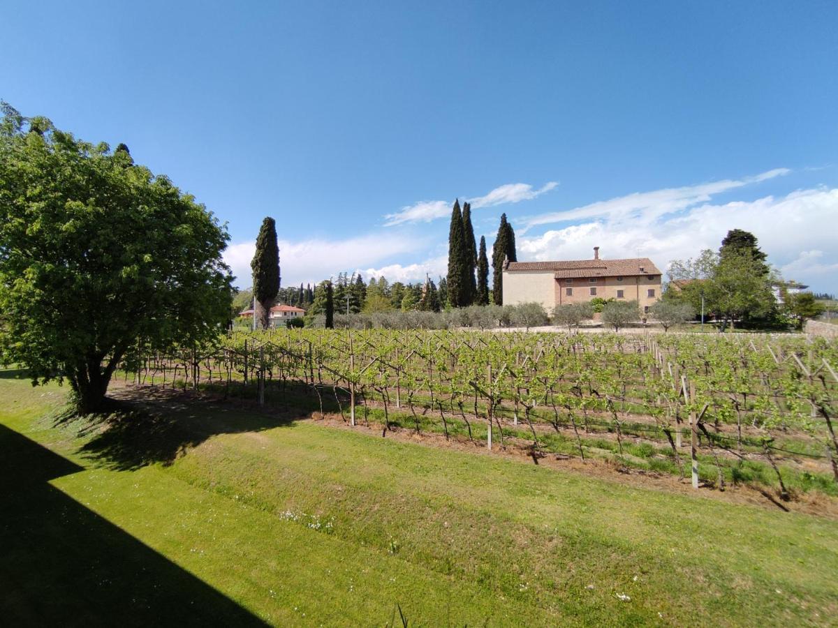 Agriturismo La Vigna Bauernhof