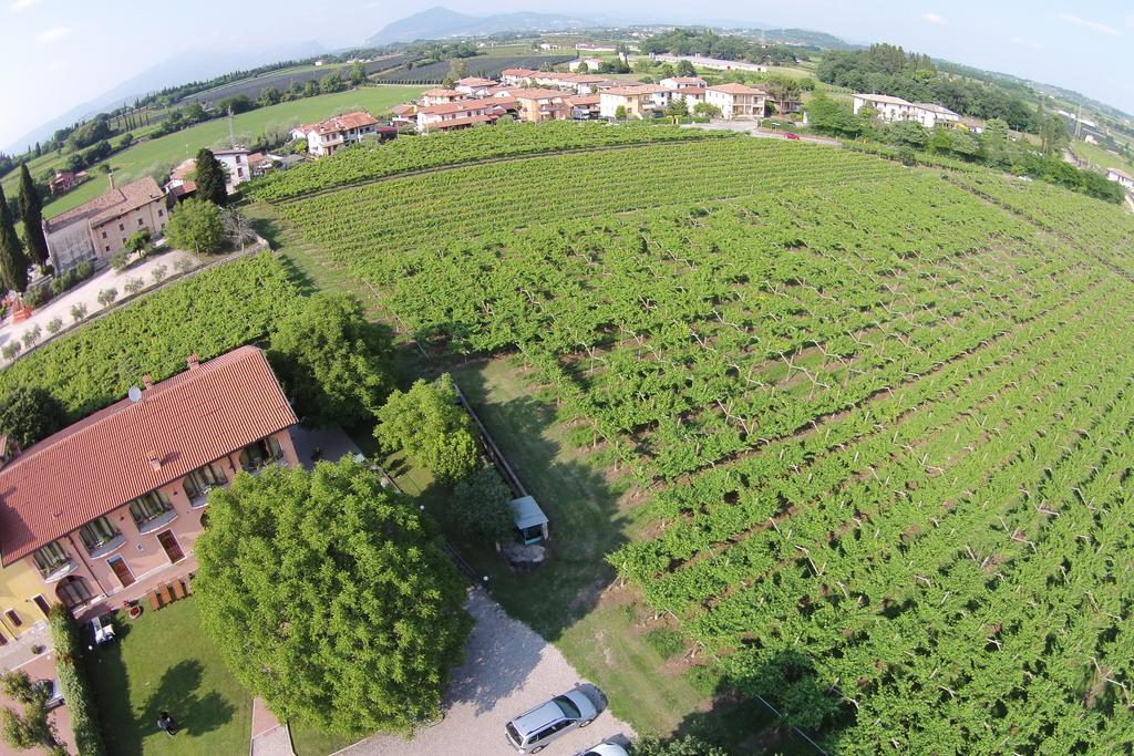 La Vigna *